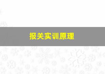 报关实训原理