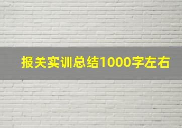 报关实训总结1000字左右