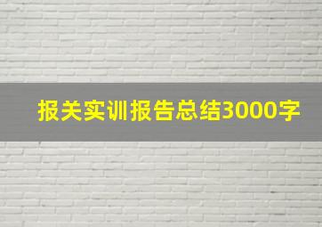 报关实训报告总结3000字