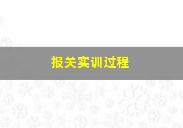 报关实训过程