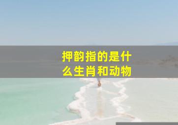 押韵指的是什么生肖和动物