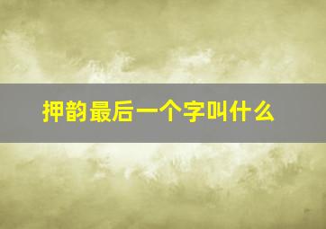 押韵最后一个字叫什么