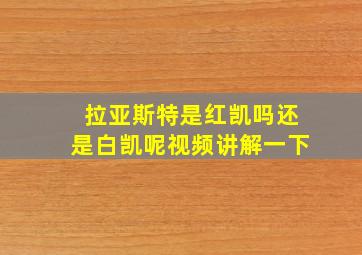 拉亚斯特是红凯吗还是白凯呢视频讲解一下