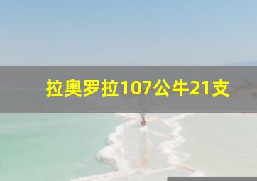 拉奥罗拉107公牛21支