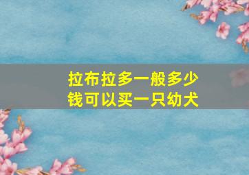 拉布拉多一般多少钱可以买一只幼犬