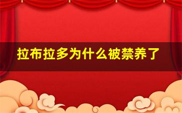 拉布拉多为什么被禁养了