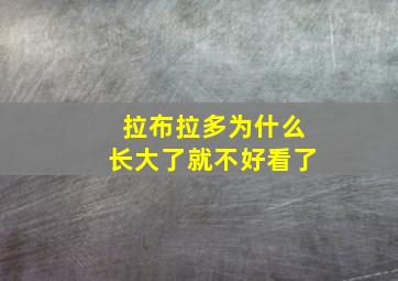 拉布拉多为什么长大了就不好看了