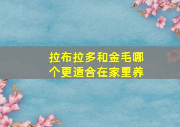 拉布拉多和金毛哪个更适合在家里养