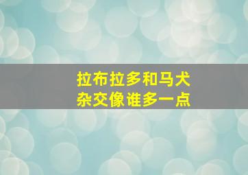 拉布拉多和马犬杂交像谁多一点