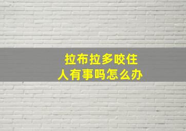 拉布拉多咬住人有事吗怎么办