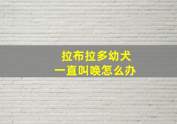 拉布拉多幼犬一直叫唤怎么办