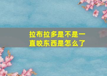 拉布拉多是不是一直咬东西是怎么了