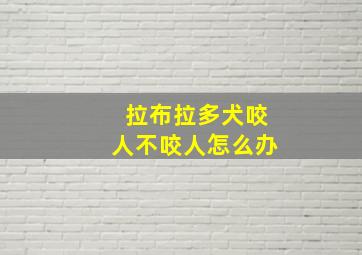 拉布拉多犬咬人不咬人怎么办