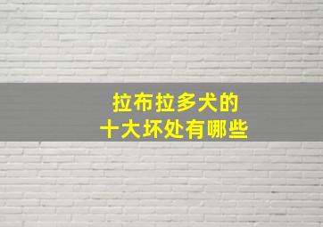 拉布拉多犬的十大坏处有哪些