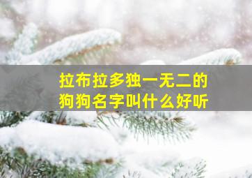 拉布拉多独一无二的狗狗名字叫什么好听