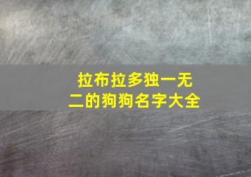 拉布拉多独一无二的狗狗名字大全