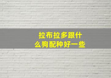 拉布拉多跟什么狗配种好一些