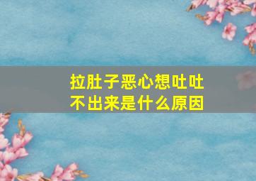 拉肚子恶心想吐吐不出来是什么原因