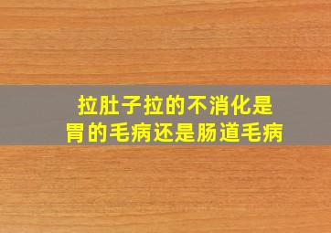 拉肚子拉的不消化是胃的毛病还是肠道毛病