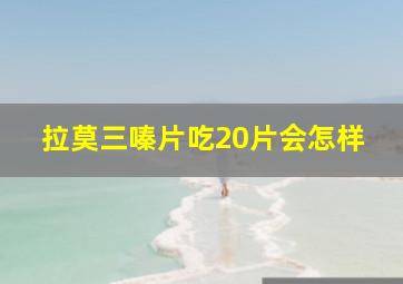 拉莫三嗪片吃20片会怎样