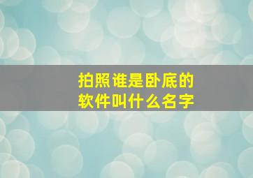 拍照谁是卧底的软件叫什么名字