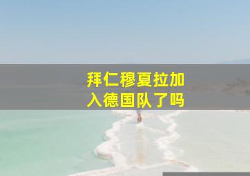 拜仁穆夏拉加入德国队了吗