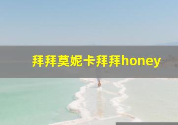 拜拜莫妮卡拜拜honey