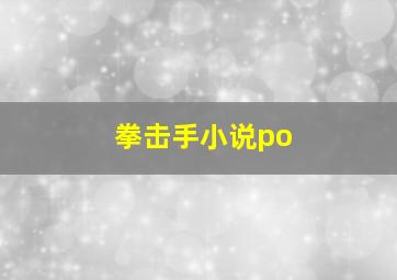 拳击手小说po