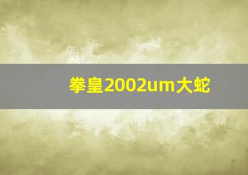 拳皇2002um大蛇