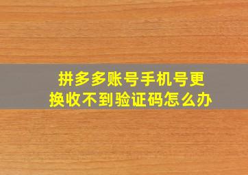 拼多多账号手机号更换收不到验证码怎么办