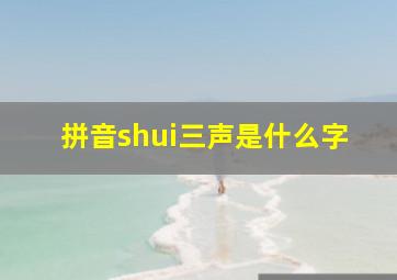 拼音shui三声是什么字