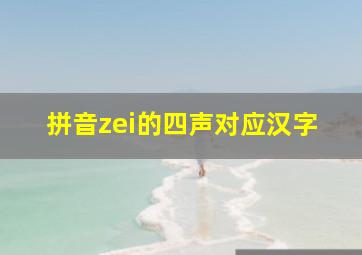 拼音zei的四声对应汉字