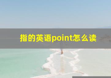 指的英语point怎么读