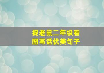 捉老鼠二年级看图写话优美句子