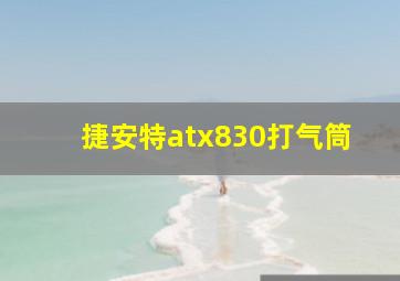 捷安特atx830打气筒