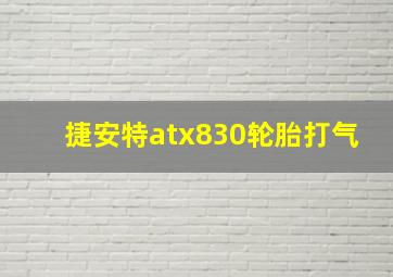 捷安特atx830轮胎打气