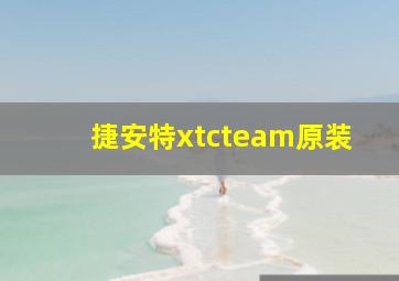 捷安特xtcteam原装