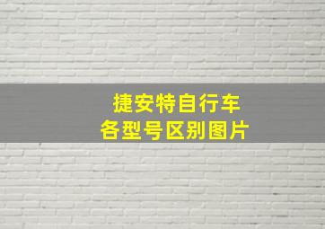 捷安特自行车各型号区别图片