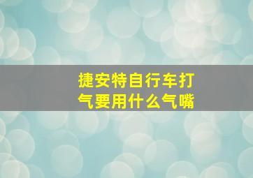 捷安特自行车打气要用什么气嘴