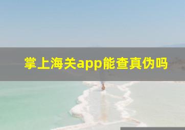 掌上海关app能查真伪吗