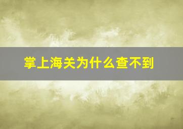 掌上海关为什么查不到