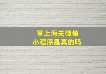 掌上海关微信小程序是真的吗