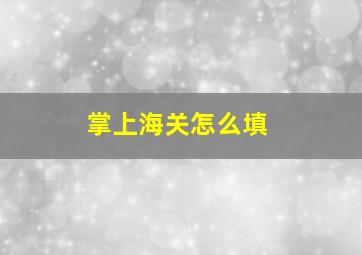 掌上海关怎么填