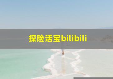 探险活宝bilibili