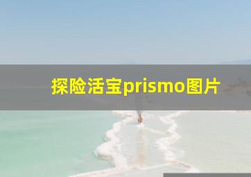 探险活宝prismo图片