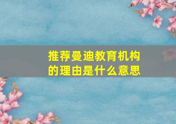 推荐曼迪教育机构的理由是什么意思