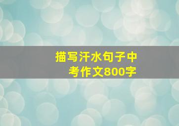 描写汗水句子中考作文800字