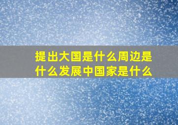 提出大国是什么周边是什么发展中国家是什么