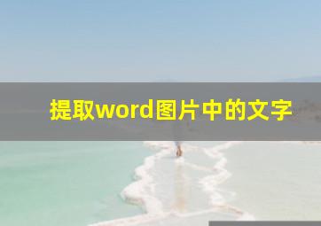 提取word图片中的文字