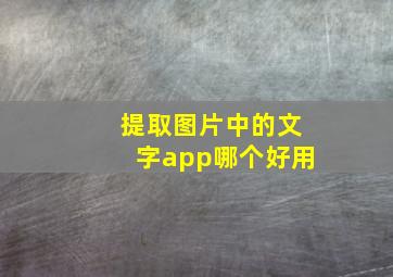 提取图片中的文字app哪个好用